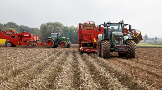 Folijarna prihrana povećava rast krtole krompira